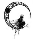 Mon univers